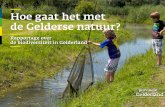 Hoe gaat het met de Gelderse natuur?...zandgronden van de Veluwe de natuur door de te hoge stikstof- depositie onder druk staat. De afname van de bodemkwaliteit is hier debet aan.