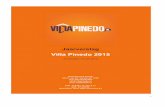 Jaarverslag Stichting Villa Pinedo 2015 · 2018. 11. 17. · Financieel overzicht ... Bureau Jeugdzorg Den Haag en het Ministerie van V&J. Deze trainingen maakte onder andere deel