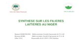 SYNTHESE SUR LES FILIERES LAITIERES AU NIGERrepol.info/IMG/pdf/Presentation_filiere_lait_Niger.pdf · 2013. 11. 27. · Les filières laitières locales Production laitière faible