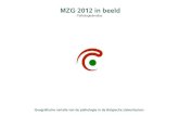 MZG 2012 in beeld - BelgiumMZG 2012 in beeld Inhoudsopgave VII. Selectie op basis van APR-DRG en de ICD-9-CM diagnose- en ingreepcodes 1. Bevallingen met verhoogd risico Aantal verblijven