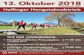 FOHLENHOF EBBS Ha˜ inger Hengstalmabtrieb · Hengstkandidaten Präsentation | 11.00 Uhr Jahrgang 2018 Almabtriebsfest mit Musik & Herbstmarkt Ha˜ inger Hengstalmabtrieb | 13.00