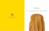 de Tour op boterhammen met pindakaas · 2019. 9. 19. · ‘Movico, de Tour op boterhammen met pindakaas’ is een boek over de belangrijkste, meest veeleisende en eervolste wielerwedstrijd