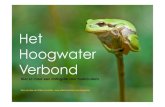 Het Hoogwater Verbond Presentatie - WordPress.com...de campagne Nederland leeft met wa-ter’, aldus een woordvoerster. VK 01-09-10 katern 1 pagina 08! 5 Het idee Grofweg de helft