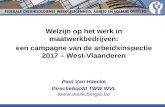Welzijn op het werk in maatwerkbedrijven: een campagne van de … · 2018. 4. 3. · De campagne : effecten. Title: PowerPoint-presentatie Author: FOD Werkgelegenheid, Arbeid en Sociaal
