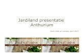 Jardiland presentatie Anthurium - Glastuinbouw Nederland€¦ · presentatie opbouwen. • Informatie terugkoppelen aan Lemkes over reacties van de klanten (stijl, potplantcombinaties,