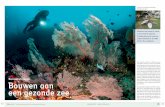 Tuinieren met koraal is overal in de wereld in opkomst ... · de realisatie van het project, zoals het kopen van ma-teriaal, het transport van de beelden, het monitoren van de nieuwe