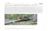 beheerfiche duurzame exploitatie van populierenbossenuuid:ae932... · 2 Aanvullend kan je de ‘Lijst van bosbedrijven actief in Vlaamse Bossen’ aanvragen bij Inverde, Duboislaan