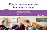 New Een steuntje in de rug - Mensen met dementie in Groningen · 2019. 10. 20. · welzijn en sociale activiteiten. Het is niet eenvoudig en het vraagt moed om je verhaal met anderen