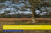 Natuurvisie Noordlaarderbos en Vijftig Bunder 2014-2032...Een van de grootste kwaliteiten van het plangebied is de fraaie ligging op de westelijke flank van de Hondsrug, grenzend aan