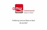 Profilering Land van Maas en Waal 22 mei 2017 · 2017. 6. 6. · SAMENWERKING - werkgroepen met kartrekkers nodig BEELDMERK - promotieteam en social media - GEBRUIK beeldmerk waar