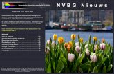 N V B G N i e u w s - Het platform voor de amateur AV-maker maart.pdf · Gelukkig hadden wij er in de Veluwehal geen last van. Reden dat we qua tijdstip hebben moeten uitwijken naar