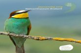 jaarverslag 2019 Natuurmuseum Brabant · Comedy Wildlife Photography Awards, 300.000 unieke personen bereikt. website: 146.700 2 tijdelijke tentoonstellingen Google: 830 reviews 4,5