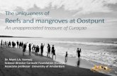 The uniqueness of Reefs and mangroves at Oostpunt...The uniqueness of Reefs and mangroves at Oostpunt An unappreciated treasure of Curaçao Dr. Mark J.A. Vermeij Science director Carmabi