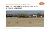 Wandelnetwerk Noord-Holland HORDENLOPEN IN DE WOGMEER · Is het vrouwtje straks het haasje? Tekst en foto’s Joop Duijs. m af te kicken van de recente olympische successen gaan we