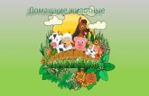 Домашниеживотныеladushki-141.ru/wp-content/uploads/2020/05/...МБДОУдетскийсад№52 «Полянка» г. Пензы 2020 год Презентация