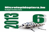 Microlepidoptera - 4. évf. 6. sz. (2013. július 15.)epa.oszk.hu/01900/01968/00006/pdf/EPA01968_micro... · 4 Fazekas & Schreurs: Depressaria ululana Rössler, 1866 2012). Több