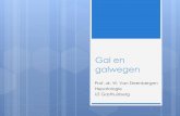 Gal en galwegen - llt.be en galwegen.pdf · “Achilleshiel” van de transplantatie ... PowerPoint-presentatie Author: Werner Van Steenbergen Created Date: 1/30/2014 5:30:29 PM ...
