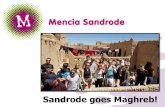 Sandrode goes Maghreb! · 2020. 3. 3. · dinsdag 24 maart : Reisdag Midelt - Merzouga, slapen in de woestijn - kamelentocht, bezoek oasedorp, wandeling door oase woensdag 25 maart