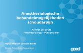 Anesthesiologische behandelmogelijkheden schouderpijn Congres 2015/Lezinge… · Xander Eijsbouts Anesthesioloog – Pijnspecialist Anesthesiologische behandelmogelijkheden schouderpijn