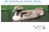 IN VOGELVLUCHT 2019 · Ronde Venen / Amstelland brengen hoofdzakelijk vogels. Allen bedankt voor de eventuele eerste hulp en voor het brengen. José Dekker heeft een presentatie over