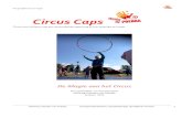 Stichting Circus Poehaa voor Circustheatercircuscaps.nl/wp-content/uploads/2015/03/Projectplan-Circus-Caps.pdf · waarde van circustheater voor persoonlijke, creatieve en sociale