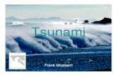 Tsunami - KU Leuven · 2009. 10. 30. · Definitie tsunami Tsunami is een Japans woord en staat voor tsu dat 'haven' betekent en nami dat 'golf' betekent. Japanse havensteden zijn