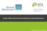 Etude Filière Economie Numérique du Grand Besançon · La filière numérique représente 3,9% du PIB national en 2015 (Eurostat), 2,95% des emplois (Eurostat) et, surtout, plus