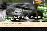 Uganda Fly-In Gorilla Trekking - Afrika Safari · 2016. 12. 14. · Fly-in Gorilla Trekking DAG TIL DAG PROGRAM Dag 1: Entebbe Før eller efter safari i f.eks Kenya eller Tanzania