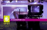 TV JAARRAPPORT 2015 - Screenforce€¦ · Het speelveld verandert en dat leidt tot fragmentatie die de mogelijkheden om grote doelgroepen te bereiken beperkt. • De nieuwe online