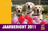 JaarberichT 2011 - Geleidehond · 2011 voor ons het jaar om de balans op te maken van driekwart eeuw geleidehonden in Nederland. In die tijd zijn we uitgegroeid tot een professionele
