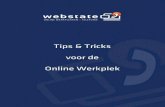 WEBSTATE BV T +31 30 767 0030 WEB BANK …cloudpagina.webstate.nl/handleidingen/Handleiding Online... · 2020. 3. 15. · WEBSTATE BV T +31 30 767 0030 WEB BANK ING ’s-Hertogen