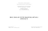 voorblad budgetwijziging 2016-1 - Schoten · (6.000 - sc 26/01/2016) en toebehoren (500) 1419.002.006.002.002 0880 61320100 Erelonen en vergoedingen voor expertises : onderzoek verkeersveiligheid