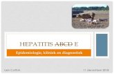 HEPATITIS ABCD E - Proximususers.skynet.be/fa686441/GAB/GAB-2018/Hepatitis E... · •Hepatitis E serologie: IgM en IgG positief •Hepatitis E PCR: positief, hoge virale lading ...