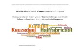 Halffabricaat Kunstopleidingen Keuzedeel ter voorbereiding ... Ragonda Spoelstra (ROC Friese Poort)