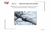 D’r WINDHUND - Mairie Lautenbach-Zell / Sengern€¦ · Pour Linthal, ces travaux d’enfouissement touchent à leur fin, ... démantèlement et donc la disparition de notre paysage