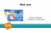 DOK DOKh/DAG... · 2018. 2. 6. · DOK h en Ondersteuning Kwaliteitsbeleid Huisartsenpraktijken Noordwest-Nederland ISO 9001 gecertificeerd Kwakelkade 21f 1823 CL Alkmaar telefoon