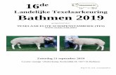 Landelijke Texelaarkeuring Bathmen 2019 · 13.50 1½-jarige rammen Worp Jacobs D. Anholts B. Anholts Crum 14.10 Oude ooien Worp Dorgelo Jacobs B. Anholts Thys 14.30 1½-jarige ooien