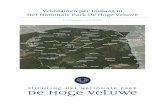 Veldnamen per tijdlaag in Het Nationale Park De Hoge Veluwe 2017.pdf · verschillende adressen in Nederland, en overleefden de oorlog.2 Figuur 1: Piloot Valentine Brock Christie3