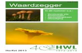 Prijs € 2,95 Waardzegger - hwl.nl · WAARDZEGGER herfst 2013 6 Dick Bussing Er zijn organisaties die er een hele heisa van maken: er is een nieuwe website! Hoekschewaards Landschap