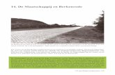 14. De Maatschappij en Berkenrodeachterdebreedesloot.nl/145-jaar-bc/15.pdf · 2016. 10. 24. · De Berkenrode met links de Peel van Piening. Op deze plaats is anno 2011 de schaapskooi