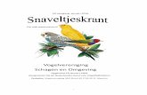Vogelvereniging Schagen en Omgevingvseno.nl/wp-content/uploads/2015/01/snaveltjeskrant-januari-2016.pdf · 1 februari tot 20 maart 2016 15 mei 2016 Bestellingen na 1 april 2016 zijn