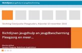 Richtlijnen jeugdhulp en jeugdbescherming Pleegzorg en meer…stichting-pleegouders-overijssel.nl/wp-content/uploads/...2016/11/10  · Samenwerking met ouders en hulp •Vertel ouders