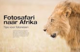 Fotosafari naar Afrika - Ingrid Vekemans Photography · 2020. 9. 22. · de gids je ook helpen om steeds betere foto’s te maken. Hij of zij moet tips geven voor en tijdens het fotograferen,