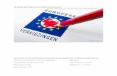 DE UROPESE UNIE ALS POLITIEKE GEMEENSCHAP · Best Belangrijk [ werd de Nederlandse burger gevraagd voor dit verdrag te stemmen, dat alle Europese burgers een gemeenschappelijke grondwet