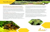 Toolkaart Bijvriendelijke plantsoenen Heesters · 2018. 1. 12. · aantallen drachtbloemen bij elkaar en vliegen o.a. op landbouwgewassen. Voor wilde bijen is biodiversiteit juist