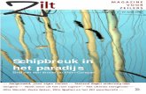 Zilt Magazine nummer 3 · 1 ilt M A G A Z I N E V O O R Z E I L E R S Z nummer 3 - 27 april 2007 fo e--- Aangewaaid, jouw eigen nieuws --- Duizend dagen onderweg naar nergens ---