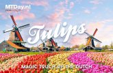 Tulips from Holland - MTDay · sleutelhanger keyring glasmagneet XL glass magnet XL mintblikje mintbox placemat placemat bewaarblik round tin zakspiegeltje pocket mirror giftkaart&