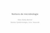11-microbiologiecours-examens.org/.../Cours_yaounde/11-microbiologie.pdf · Title: Microsoft PowerPoint - 11-microbiologie Author: marc Created Date: 3/27/2010 6:10:19 PM