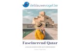 Fascinerend Qatar - De Blauwe Vogel...Museum van Islamitische Kunst en Dinner Dhow Cruise Dag 02: Doha (optioneel programma) Sluit de sightseeingtour af met een bezoek aan de Pearl.
