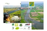 Resultaten van 15 jaar natuurontwikkeling in de Vlaamse ... · 1 Maas in Beeld Resultaten van 15 jaar natuurontwikkeling in de Vlaamse Maasvallei Kris Van Looy Gijs Kurstjens Bart